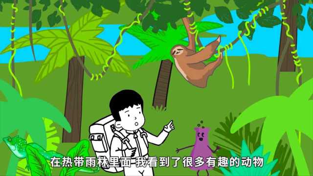 热带雨林里都有什么呢?