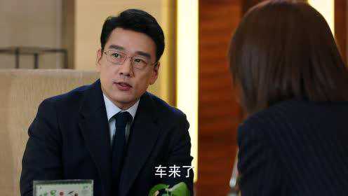 完美伴侣[DVD版] 31集