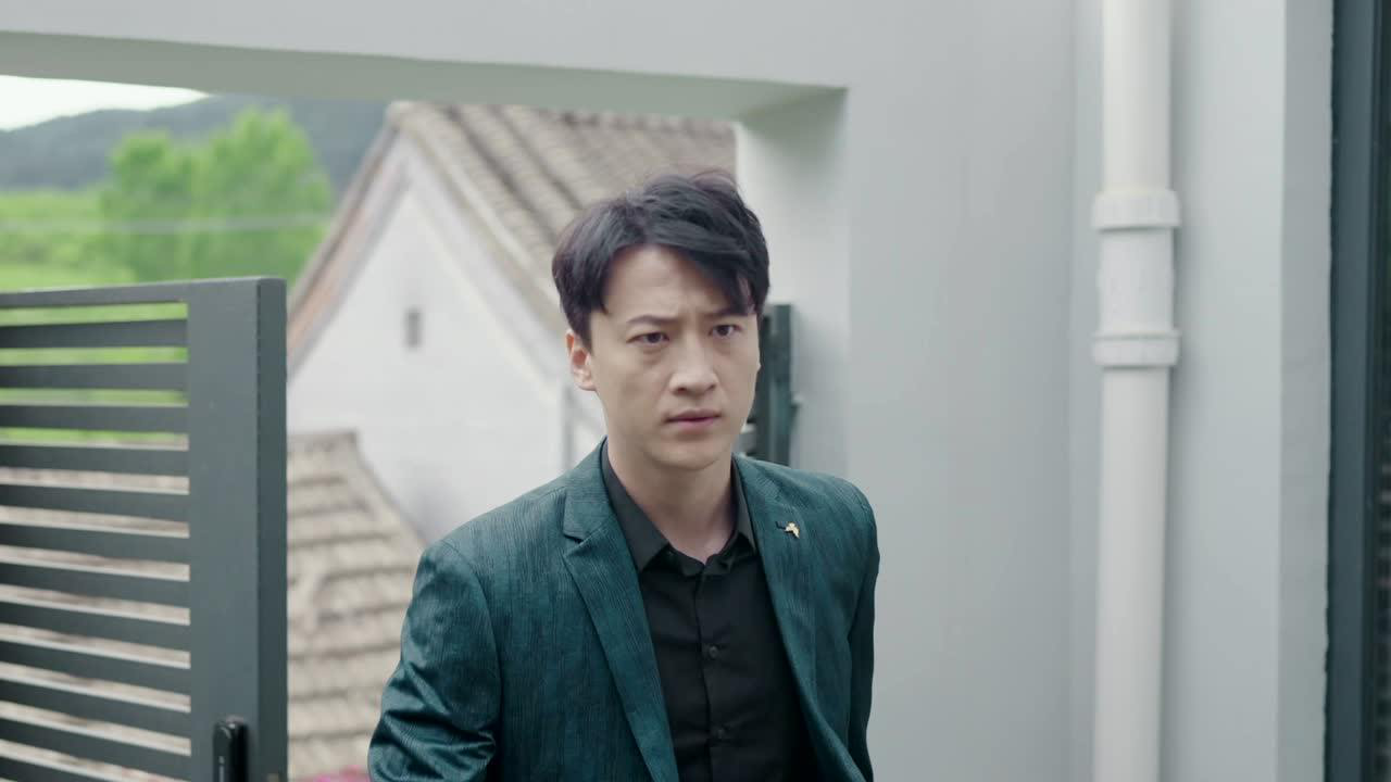 妻子的反攻 17集