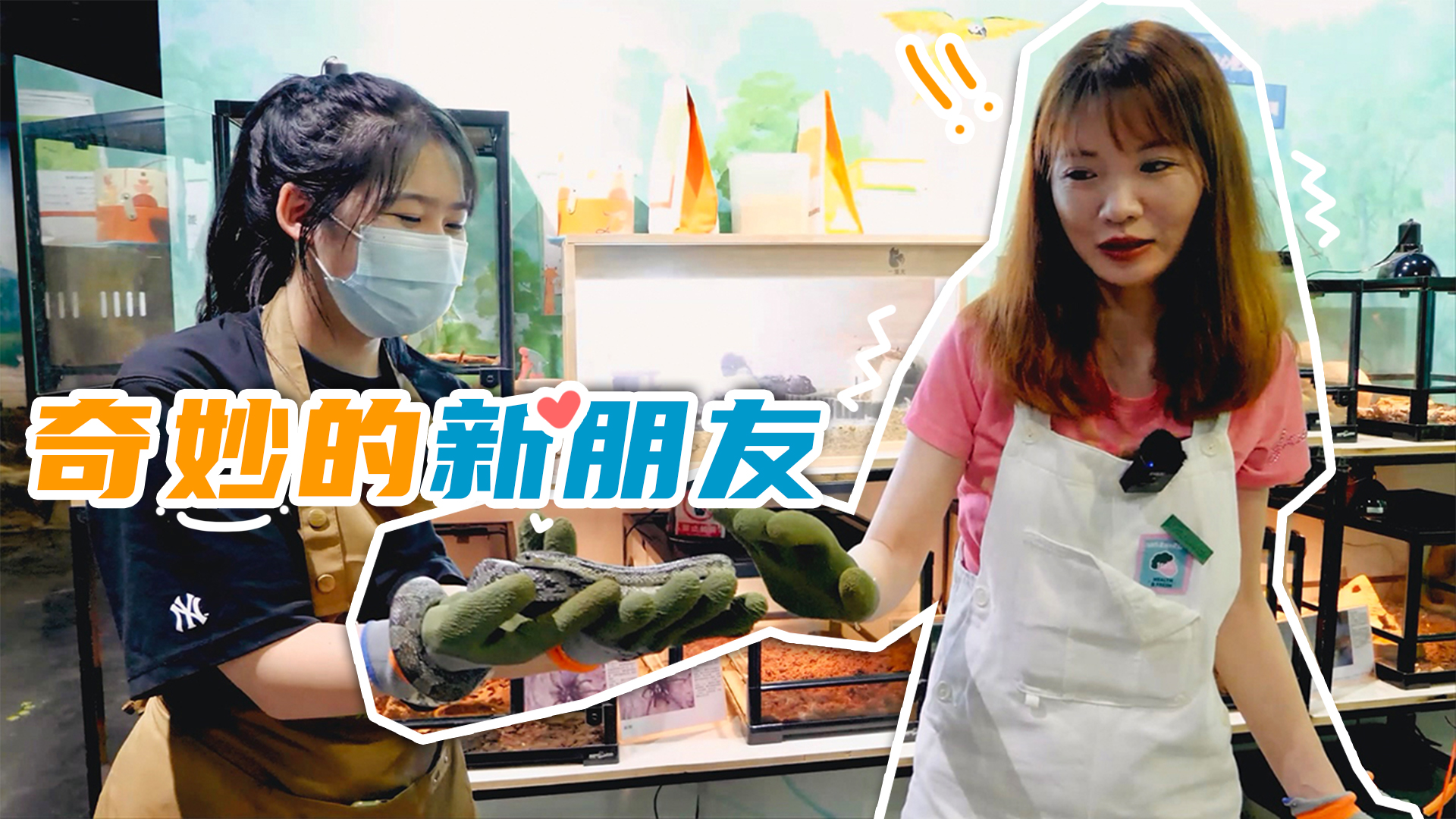 小丹姐姐拼世界 6集