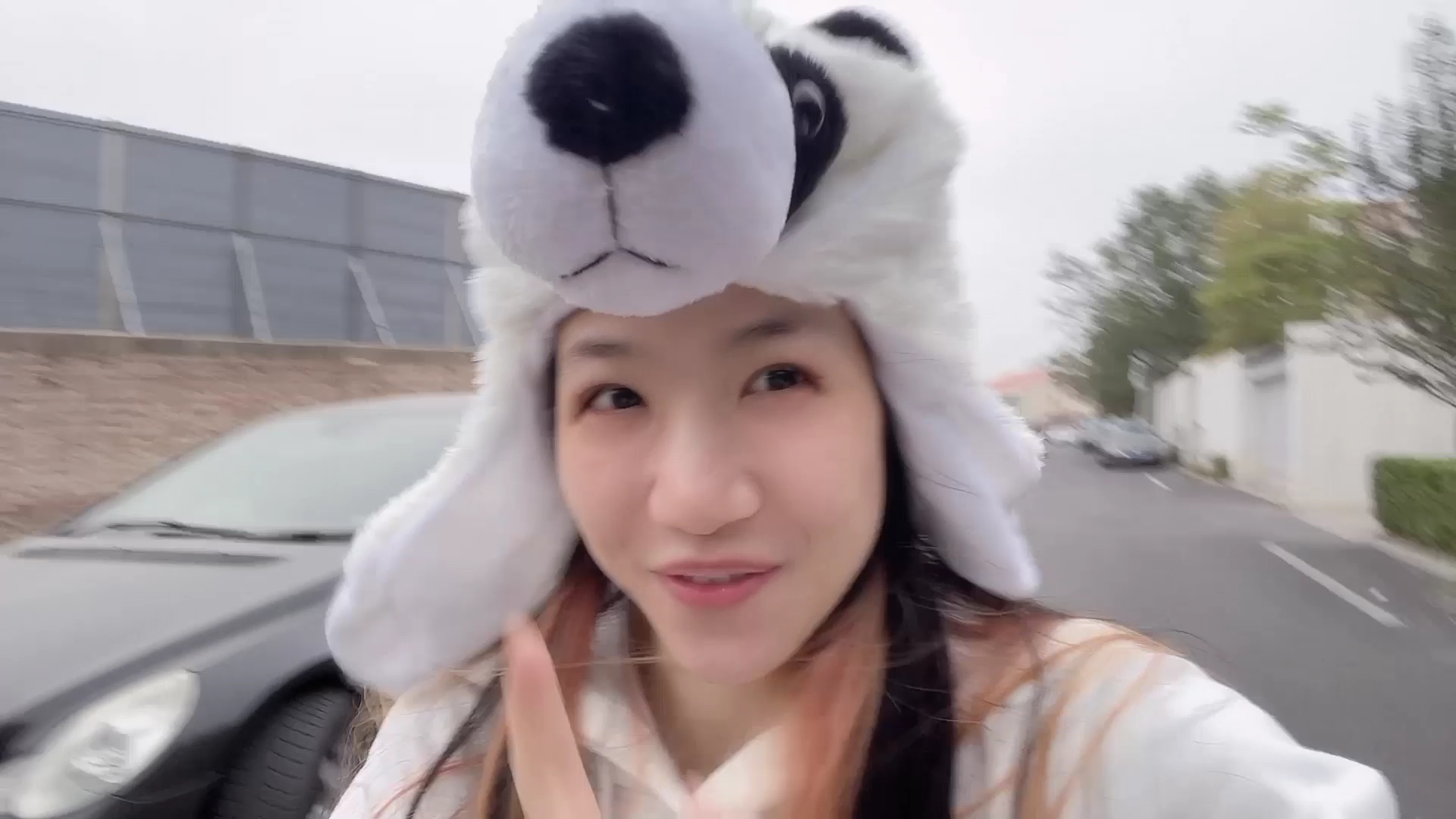 猫扎特魔法旅行团 91集