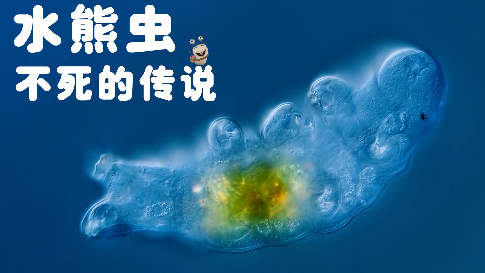 白白侠的微生物朋友 1集