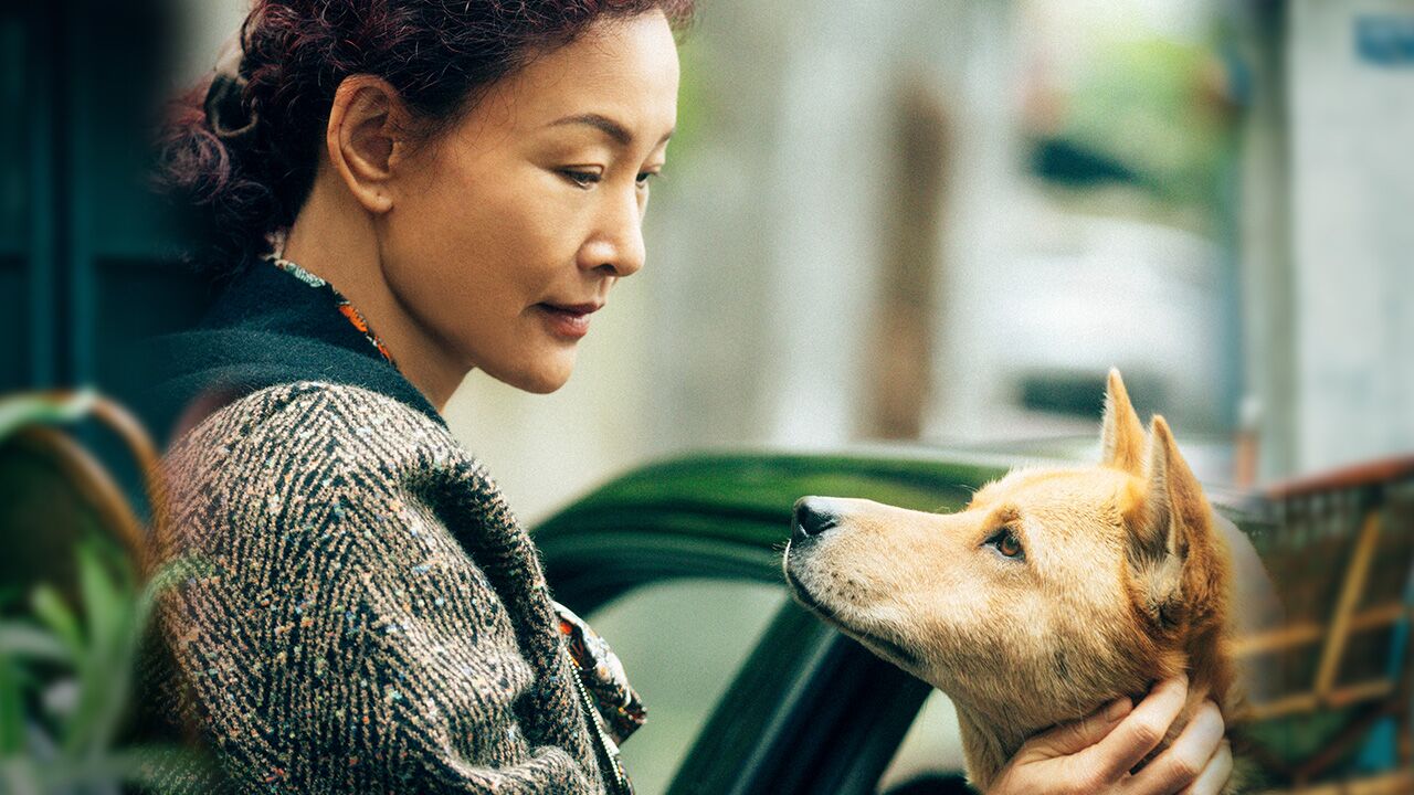 开篇催泪预警!陈冲领衔演绎《忠犬八公》