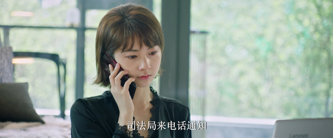 证词 17集