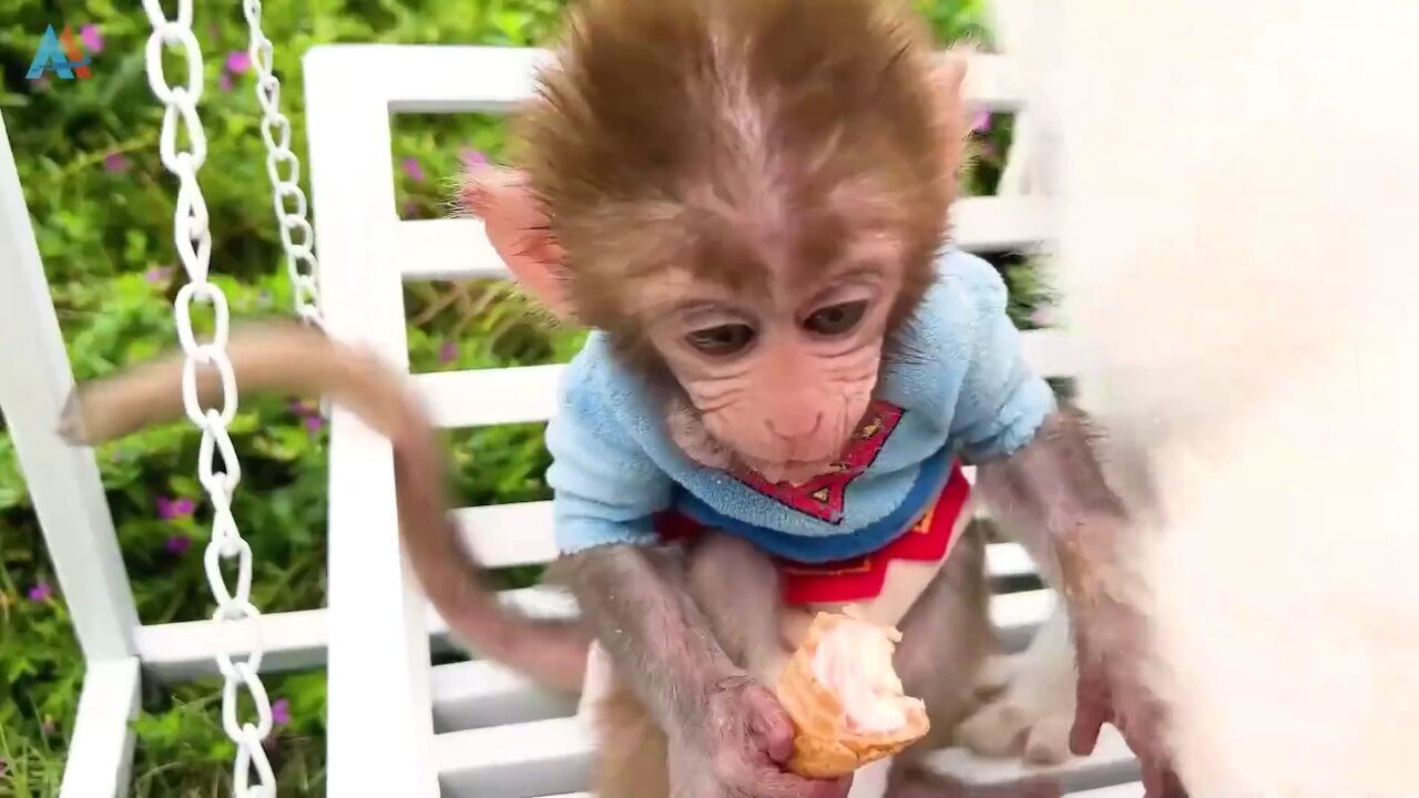 小猴子啵啵爱玩游戏_60_高光片段