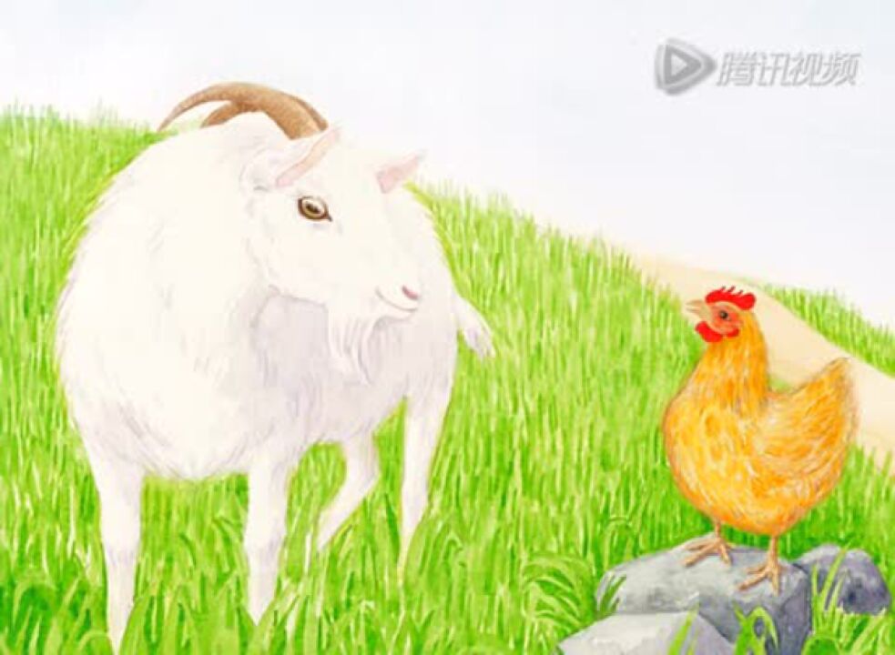 鸡妈妈的蛋宝宝_高清