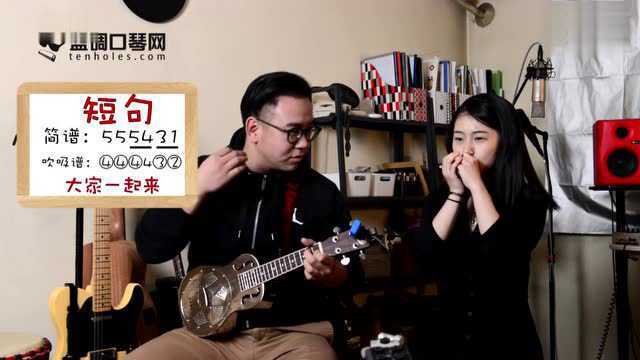 跟着园园学蓝调布鲁斯风格口琴教程第一课认识第二把位