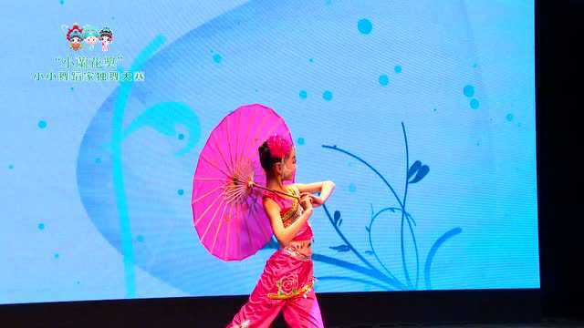 "小兰花奖"陈嘉仪《戏雨》