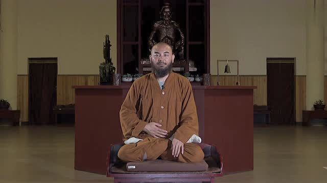 25东华禅寺万行法师莲花生大士静功东华禅静功教学视频