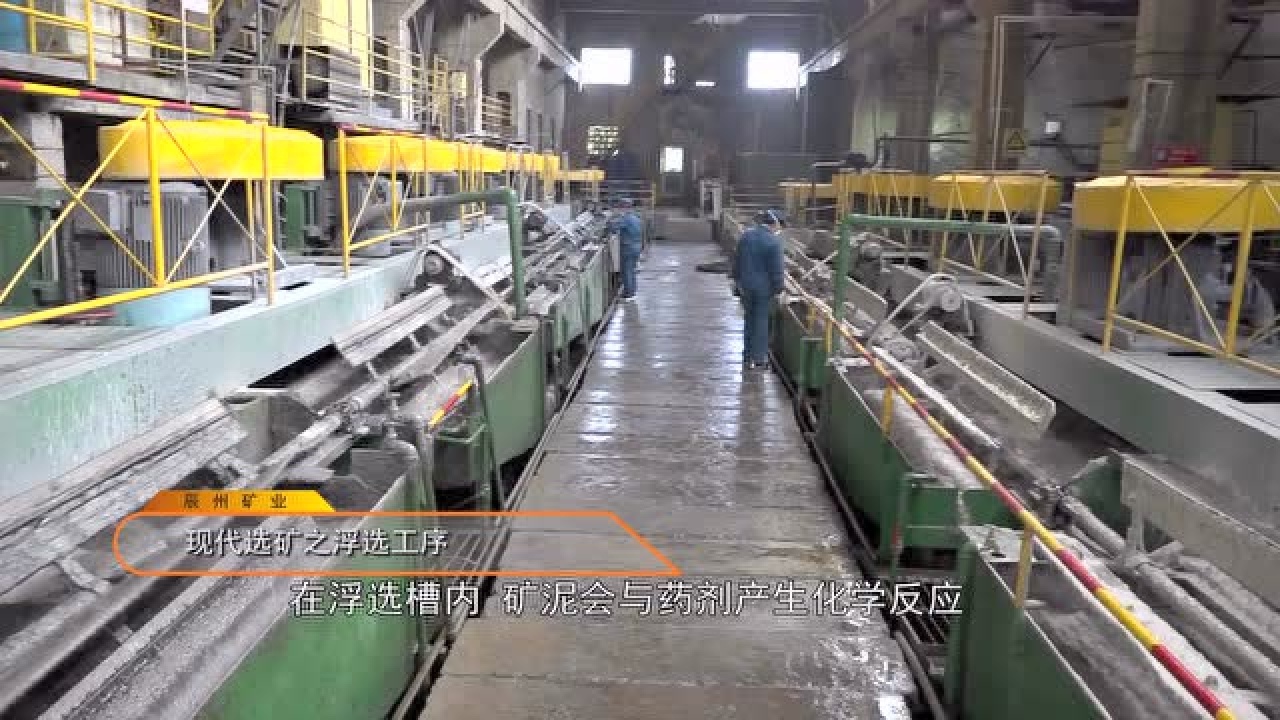 高清1080P在线观看平台_腾讯视频