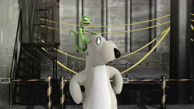 倒霉熊 看看这只小笨熊有多倒霉啊