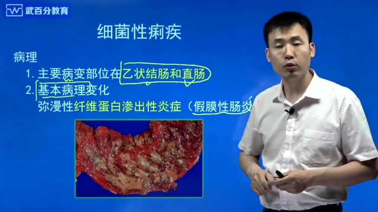 2017细菌性痢疾_高清1080P在线观看平台_腾讯视频