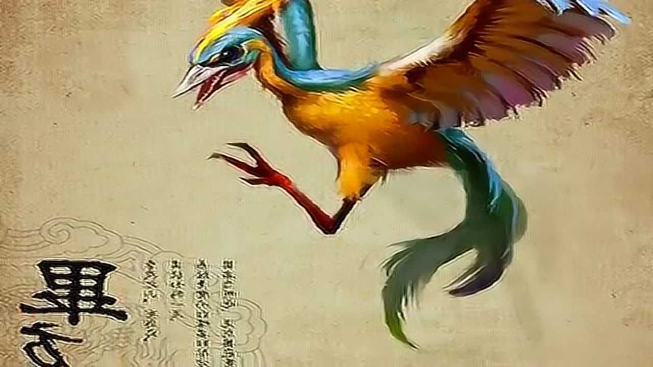 毕方,华夏上古时代的神鸟,乃火之神兽_高清1080P在线观看平台_腾讯视频