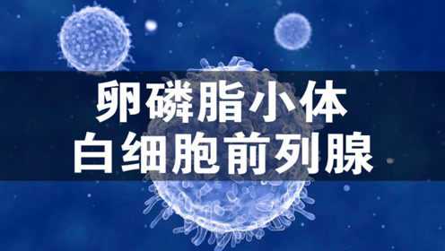 前列腺液卵磷脂小体和白细胞数量正常为什么被诊断为前列腺炎