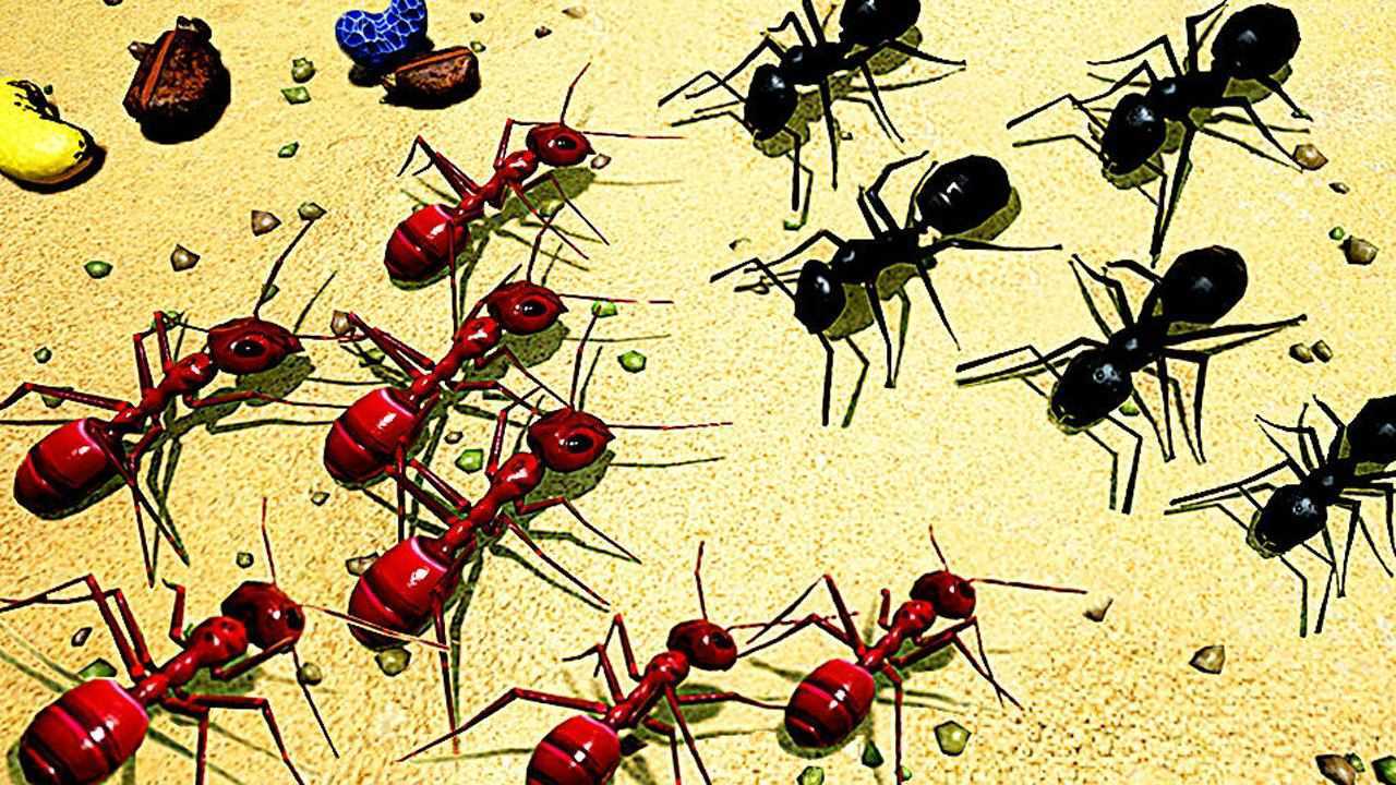 大型蚂蚁战争开启!_高清1080p在线观看平台