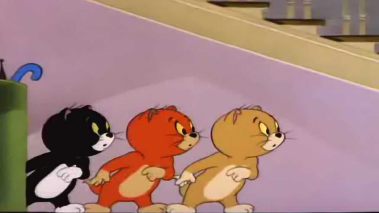 三只小猫猫和老鼠_腾讯视频