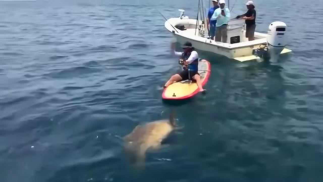 坐在小船上钓到一条大鱼,大鱼把人直接拉下海里了!