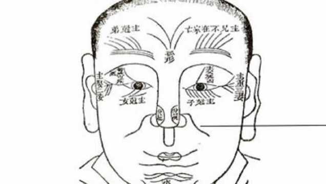 面相老师教大家如何分析面相法令纹如何适应职场交际
