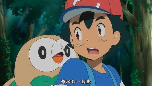 神奇宝贝第六部,小智在阿拉罗收服的第一只精灵爱