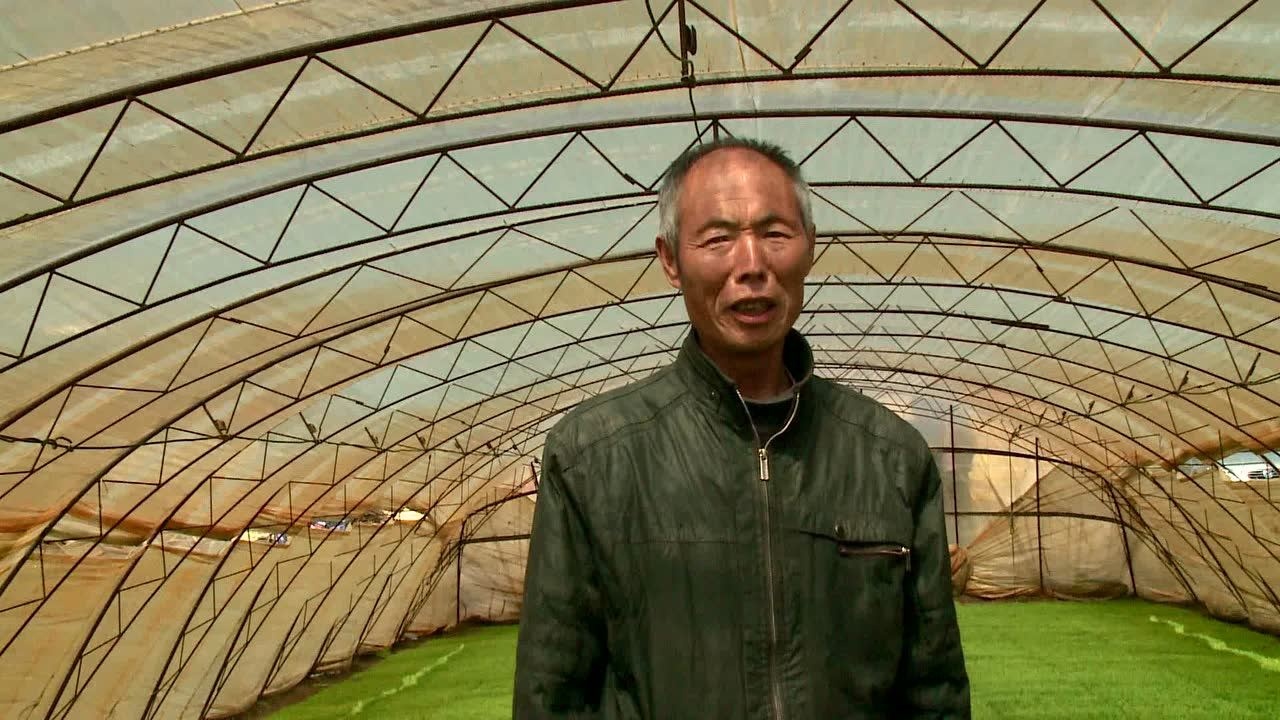 辽宁省锦州市北镇新立农场职工张大军说