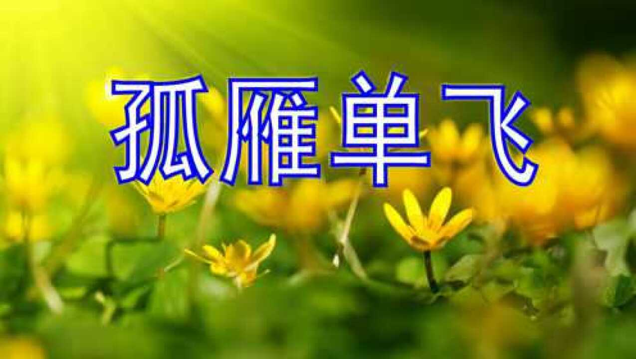 好想你,风语一曲《孤雁单飞》催人泪下,一个人好难过!_腾讯视频