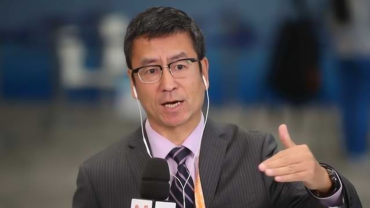 白岩松世界杯吐槽国足中国除了足球队没去其他都去了