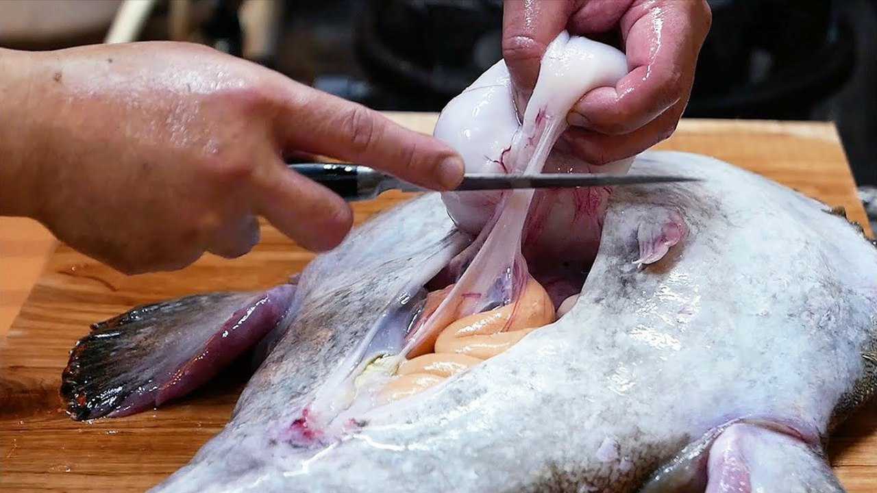 日本顶级料理大师,亲手烹饪名贵的安康鱼,一份刺身能卖数百美元