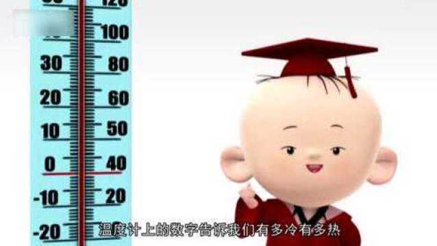 少儿课堂,小朋友们一起来和图图认识物品上的数字