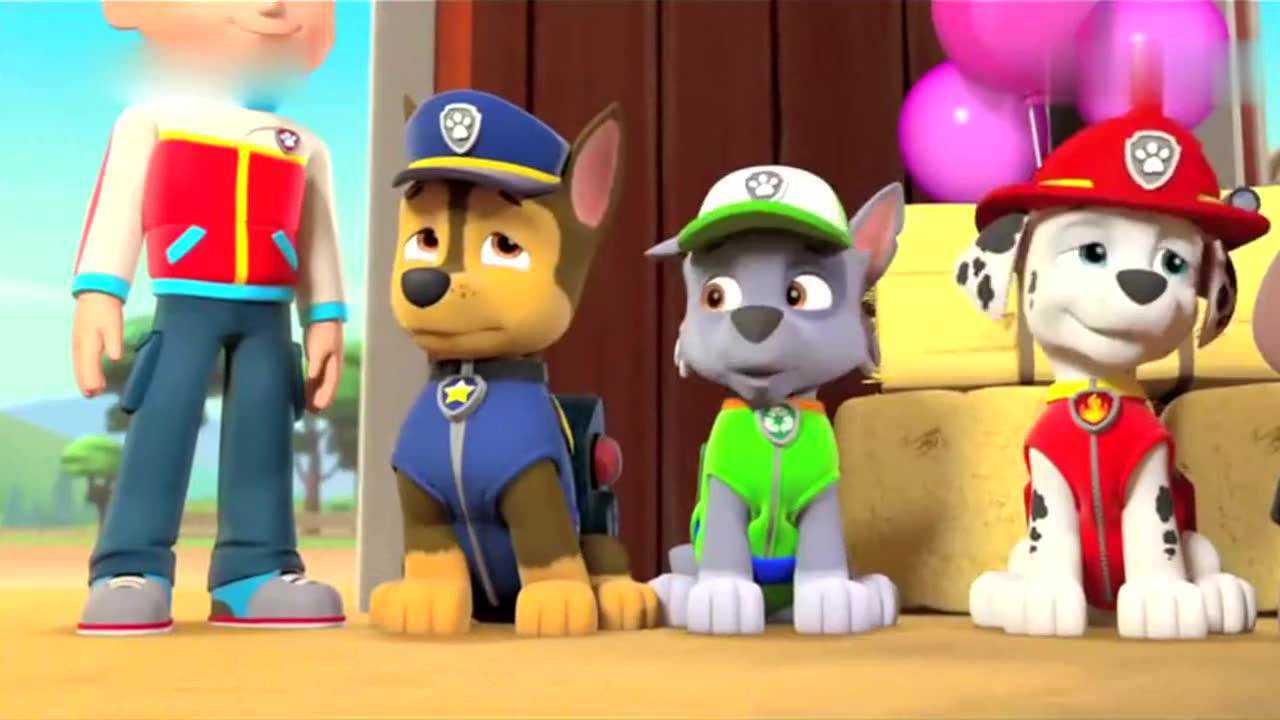 婚礼太感人 天天晕了 阿奇哭了