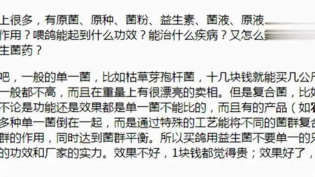 em菌液喂鸽子1000只要用多少量