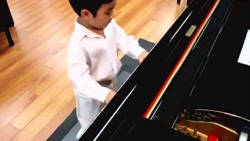 4岁音乐神童钢琴弹奏《野蜂飞舞》