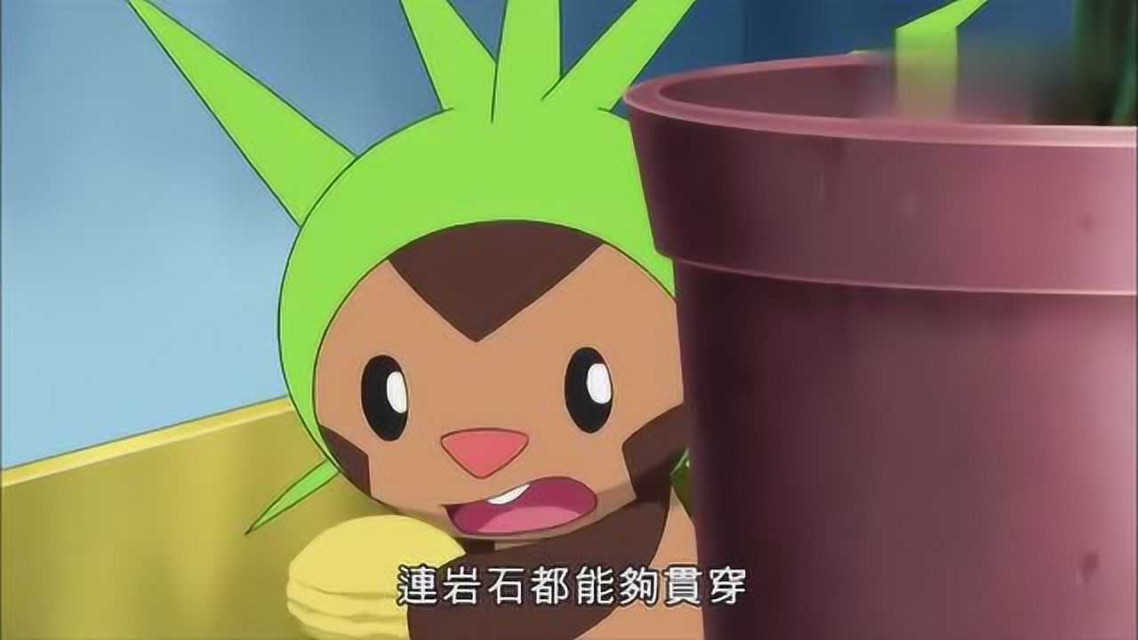 精灵宝可梦,我是谁,哈力栗,栗子神奇宝贝