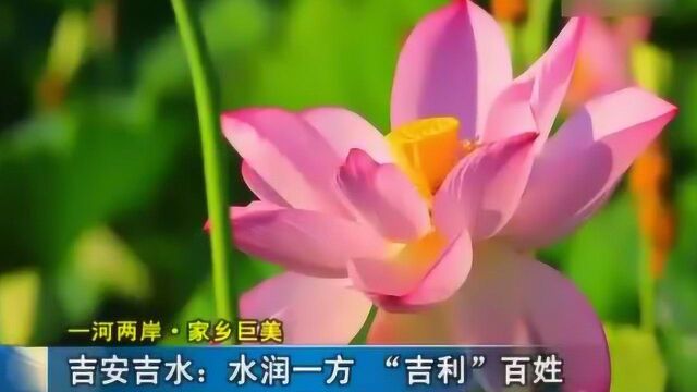 吉安吉水:水润一方“吉利”百姓