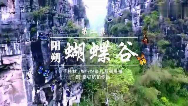 鸟瞰桂林 航拍阳朔蝴蝶谷,山水如诗歌配景