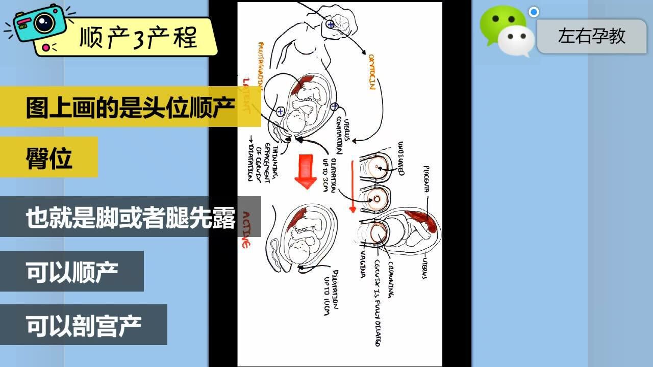 顺产分娩妈妈生小孩的3个阶段_高清1080P在线观看平台_腾讯视频