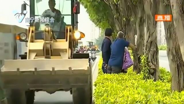 临时占用挖掘城市道路亟待规范 欢迎市民提意见