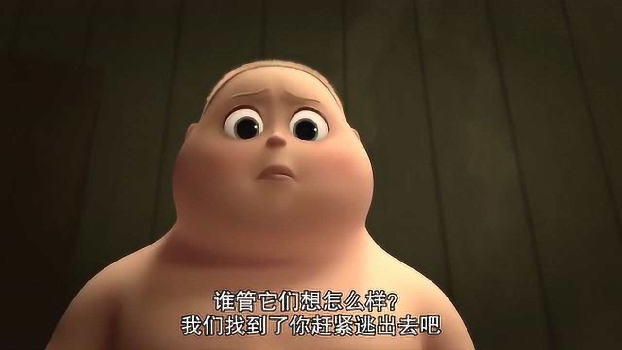 宝贝老板金宝居然融入了猫咪的生活