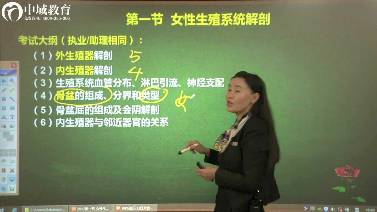 女性生殖系统
