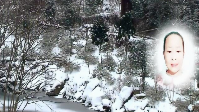 雪花的快乐朗诵配乐视频徐志摩诗歌赏析