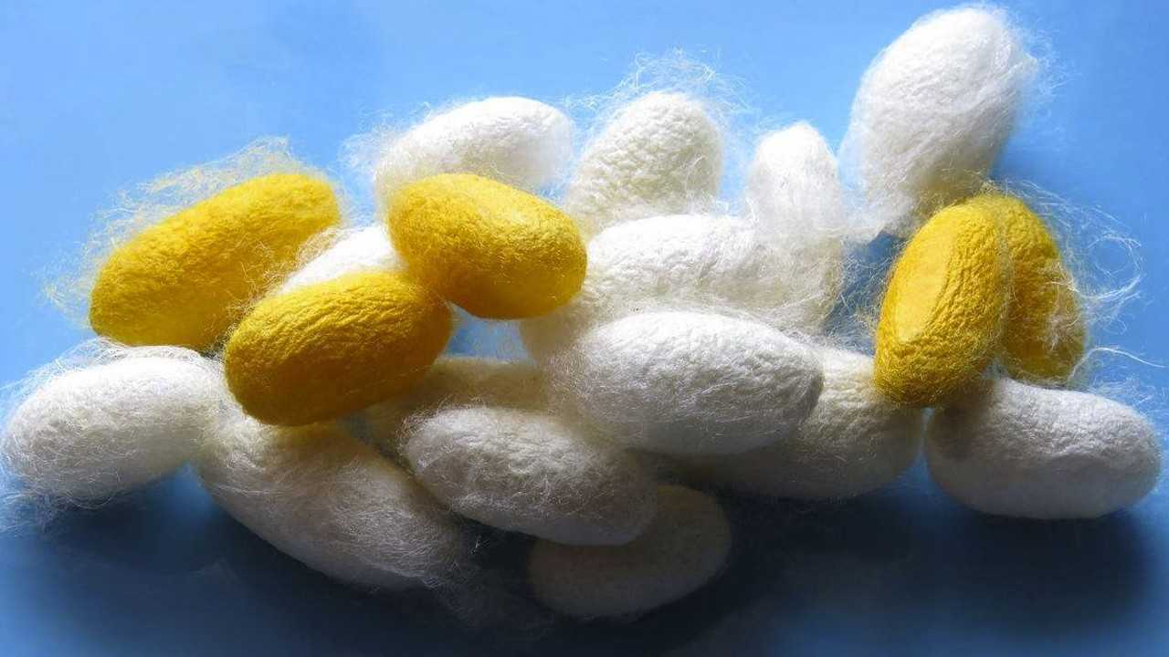 蚕茧是如何抽丝并制成丝绸的,这个视频解开我多年的疑惑_腾讯视频