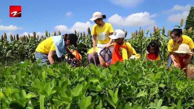 《江南萌萌跶》 欢乐佳田ⷥ凥晧š„田园之旅