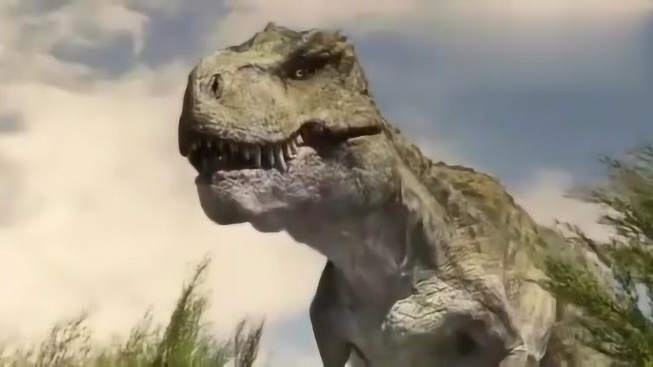 特暴龙母亲vs诸城暴龙诸城暴龙的超人智慧哦