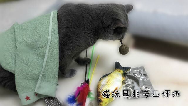 多种猫玩具评测:猫咪更喜欢哪种玩具呢?喵星人:玩嗨了!