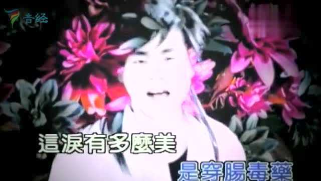 胡彦斌《红颜》当年一首很火古风歌曲,满满的都是回忆,超好听!