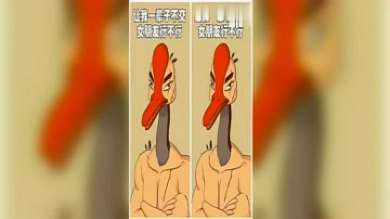 鹅大叔,说得一点毛病也没有