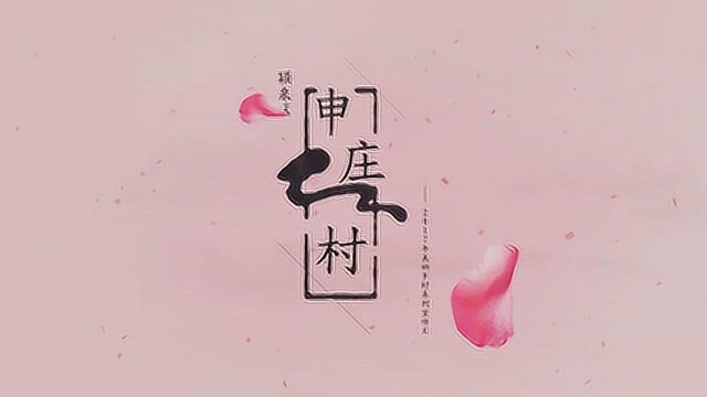 颍泉区2017年美丽乡村系列宣传片——申庄村