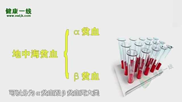 地中海贫血分型有哪些?不同类型地贫都有什么不同的表现?