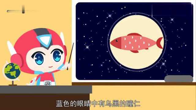 一分钟了解东星斑