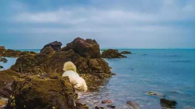 爸爸去哪儿拍摄地鸡鸣岛,原始渔村的美景,大自然的游玩圣地!