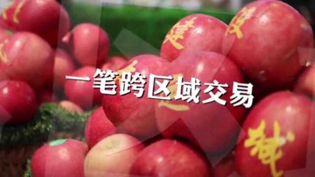 新华网:运城这个展会 果 色生香